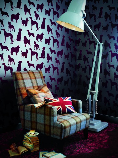Best In Show Top Wallpaper Design For All Dog Lovers This