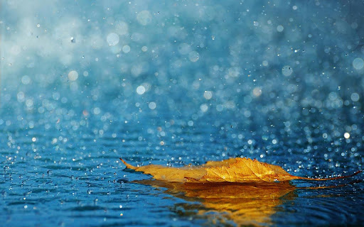 Rain Android Live Wallpaper For Smartphone And Tablets