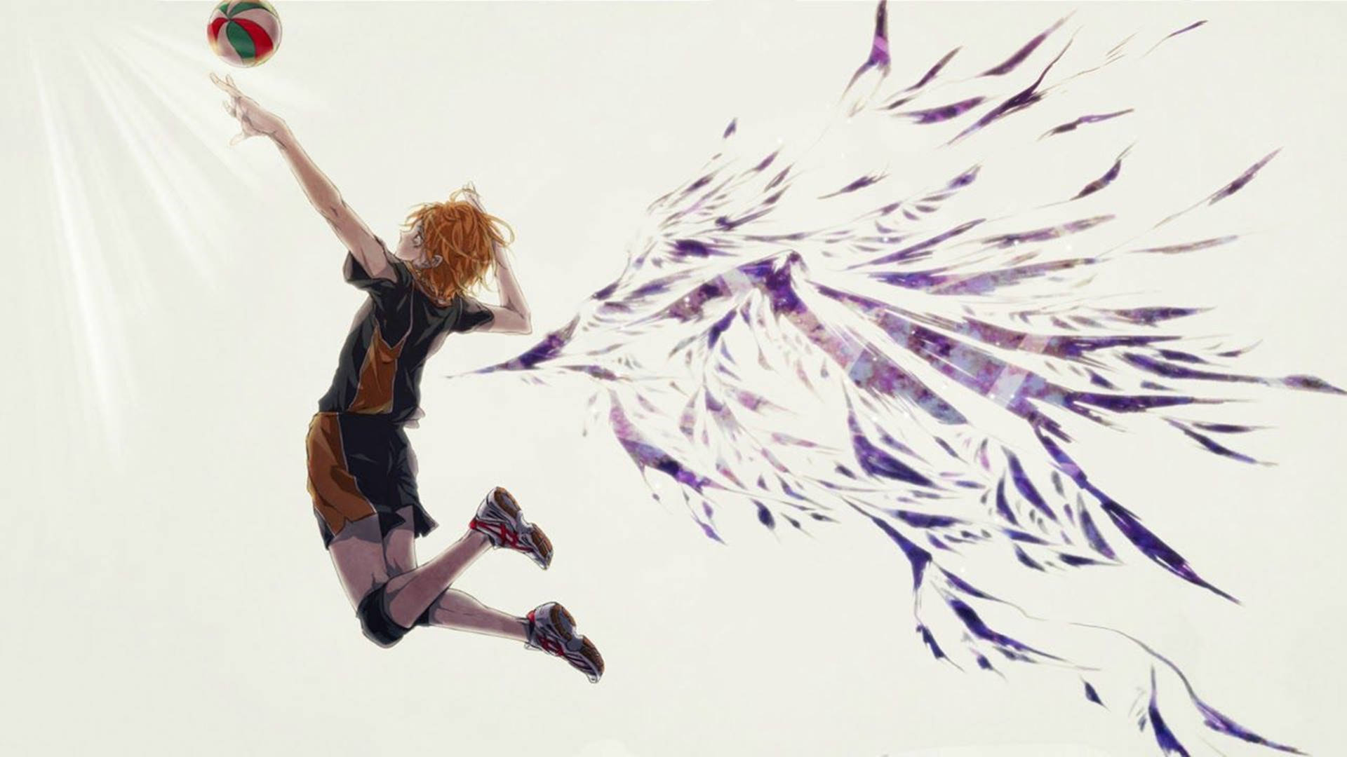 Shoyo Hinata Wallpaper
