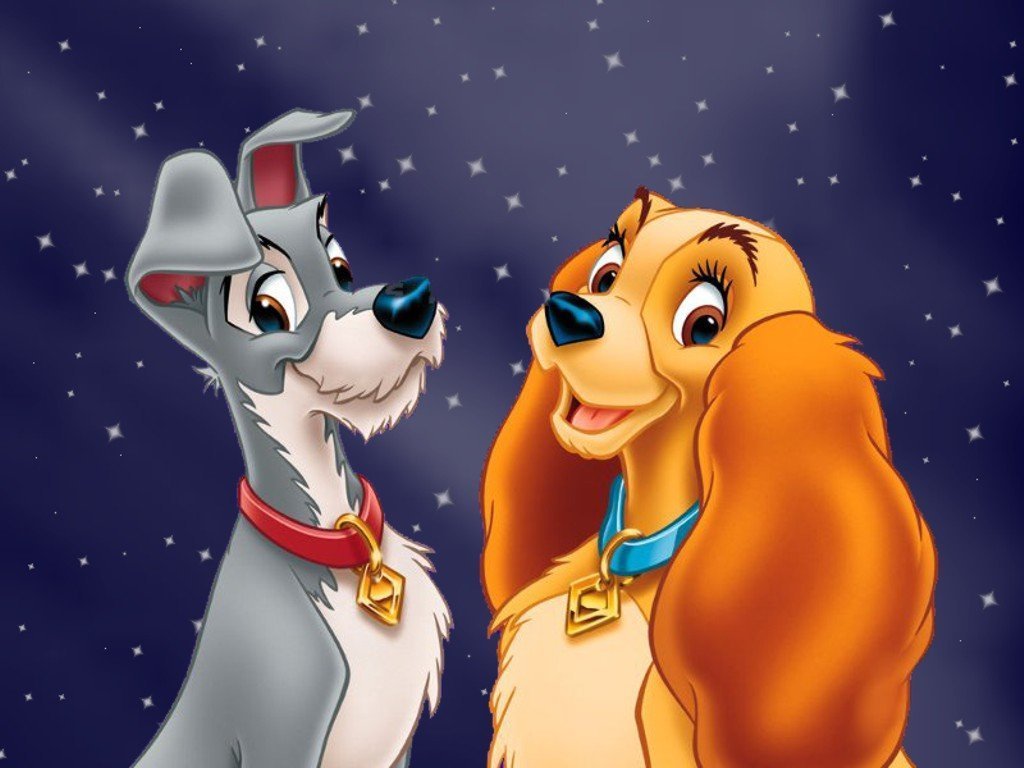 Lady And Tramp Image The Wallpaper HD