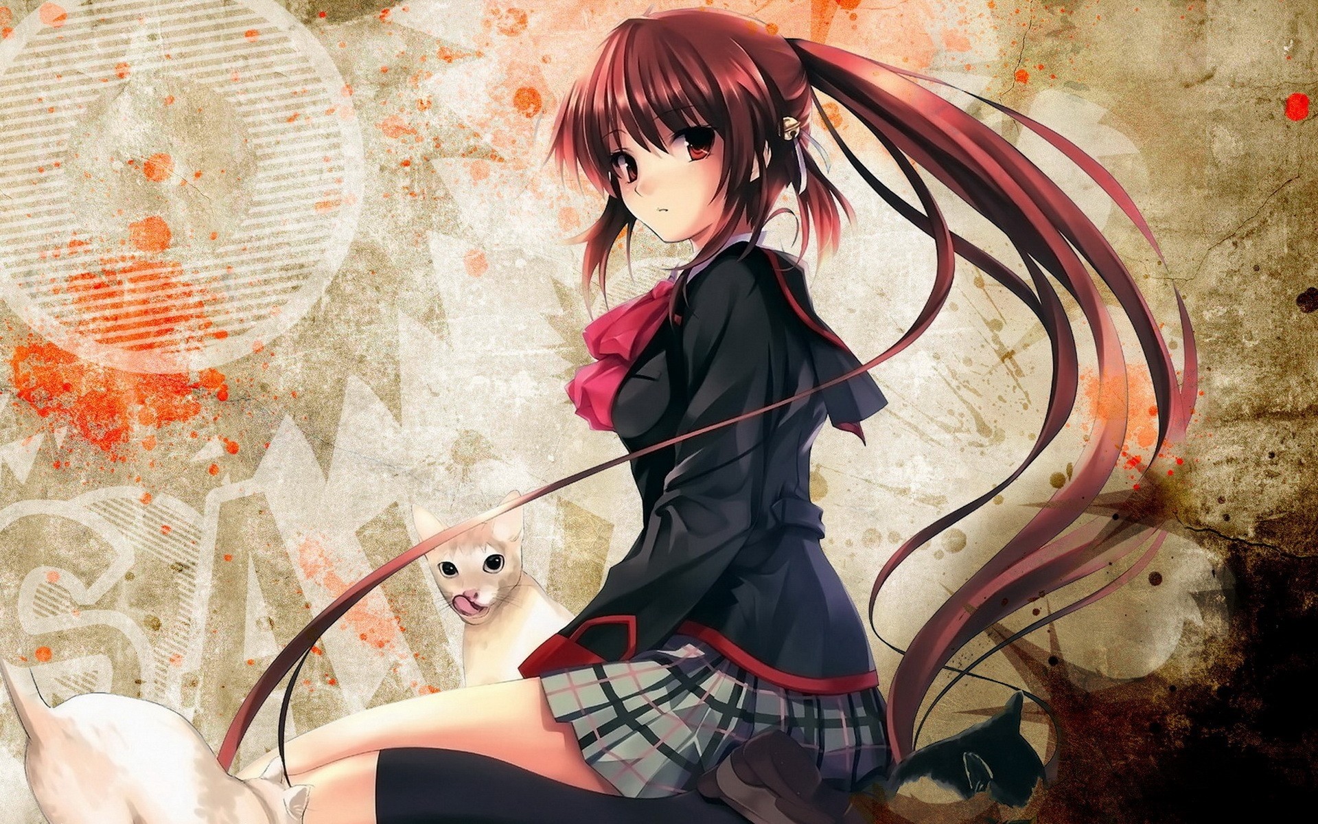 Anime Girl Cat Mystery Enchantment Wallpaper And Background