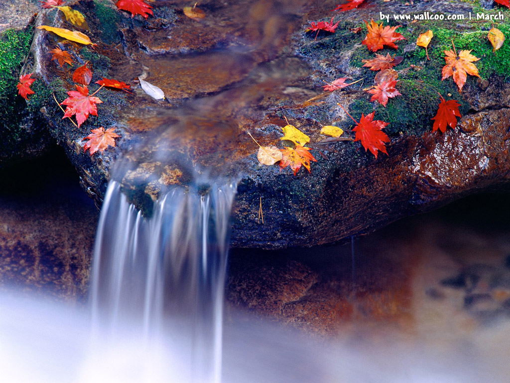 Spring wallpapers for desktop