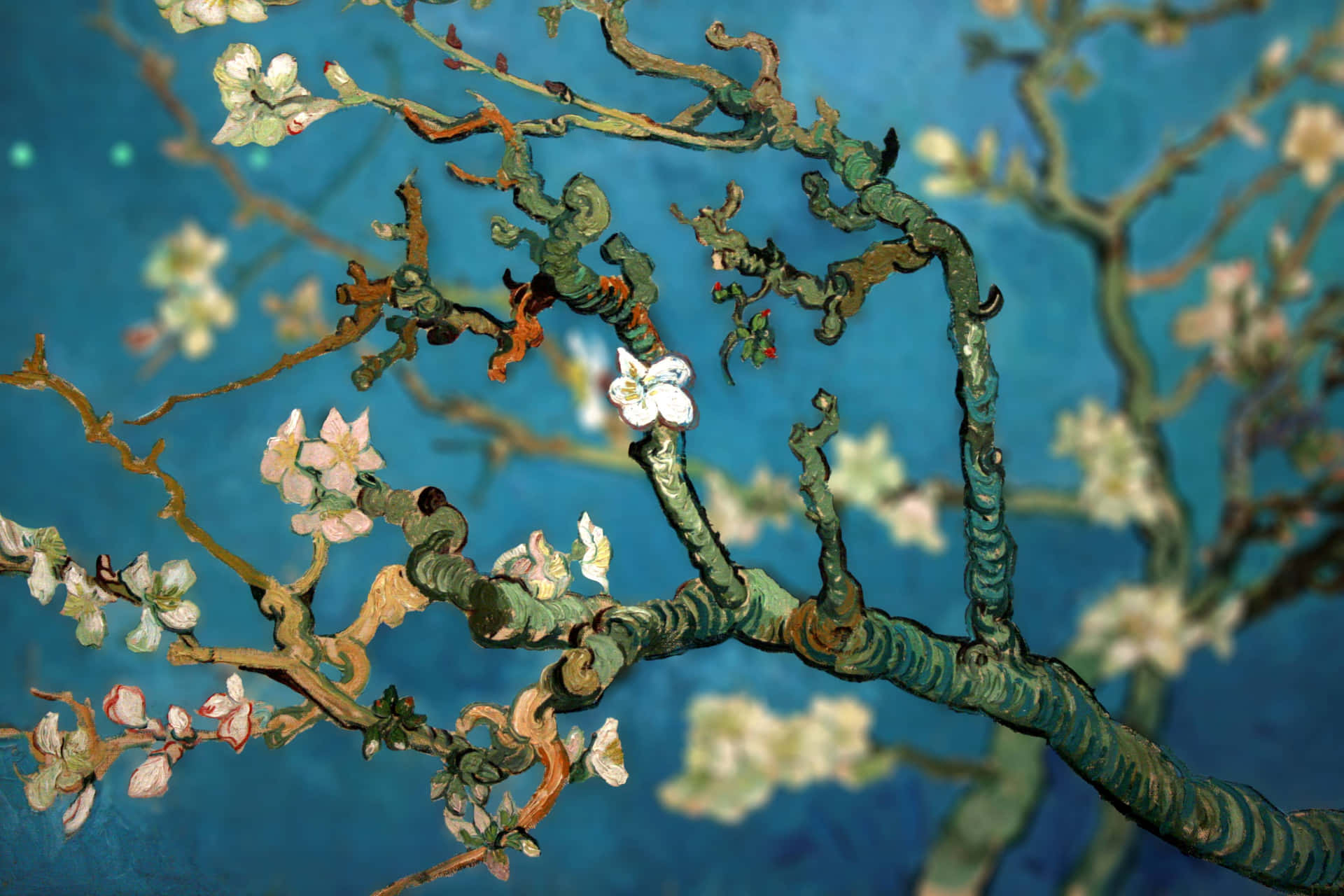 Van Gogh Almond Blossoms Wallpaper
