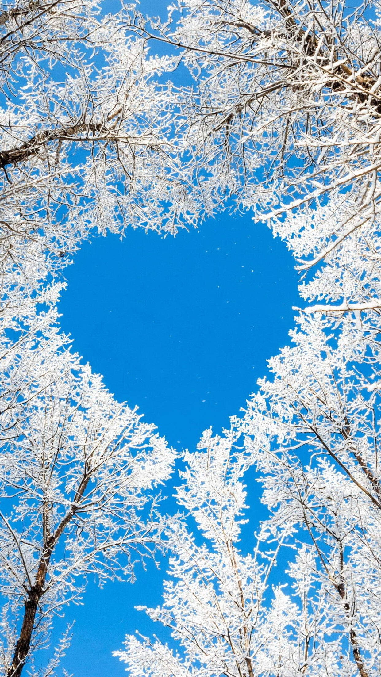 Heart Iphone Wallpaper