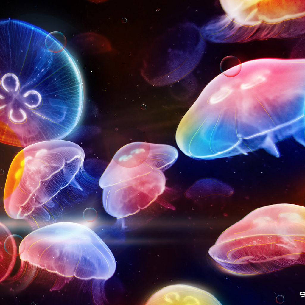 Colorful Jellyfish iPadwallpaper Me