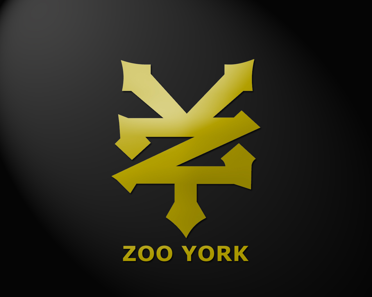 Zoo York 3d Gold Logo Skateboars Image Picture HD Wallpaper For