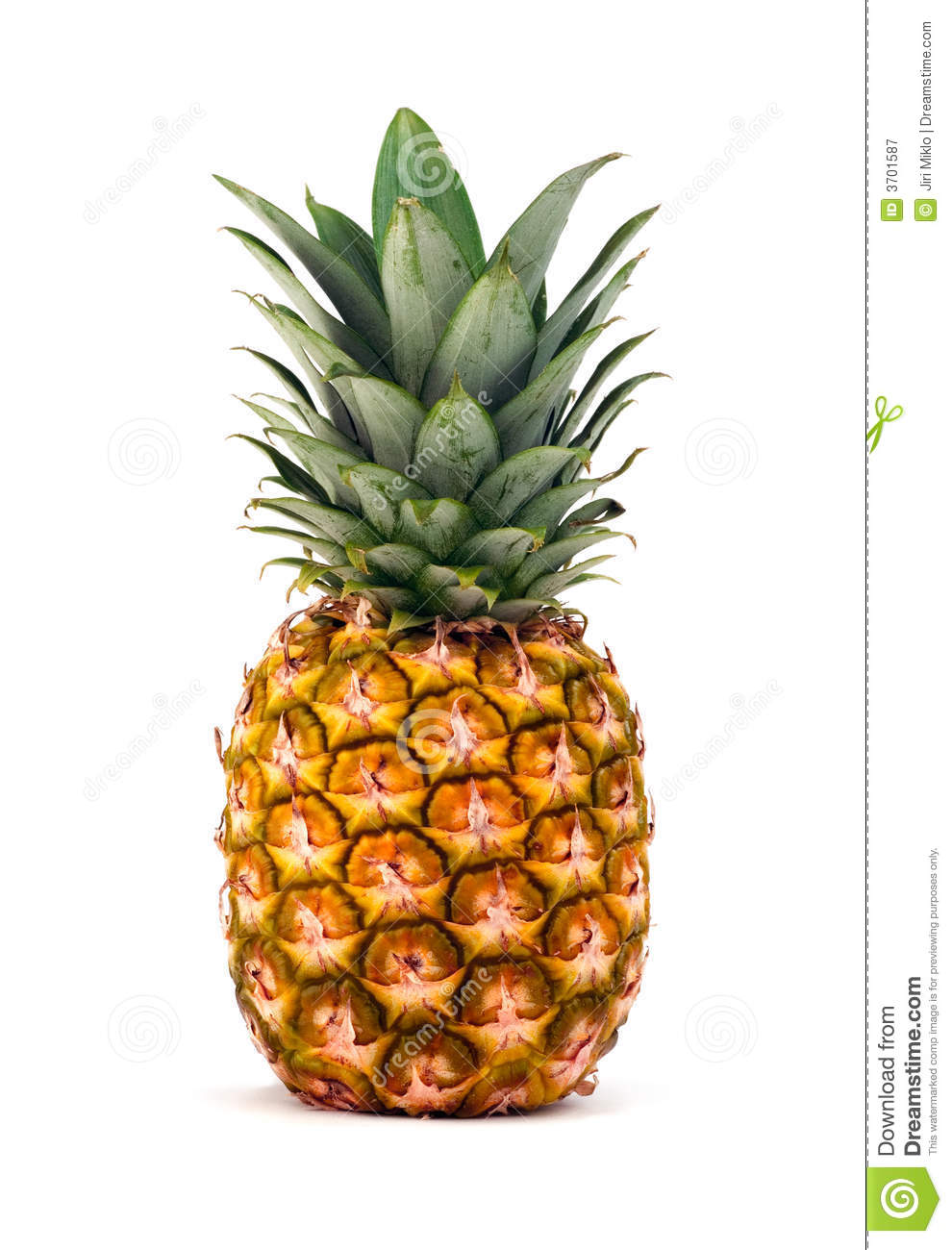 Pineapple Background On White