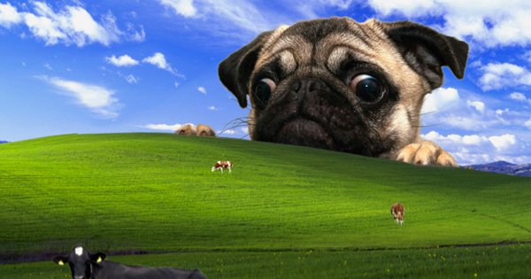 Versions Of The Windows Xp Wallpaper Bliss Collegehumor Post