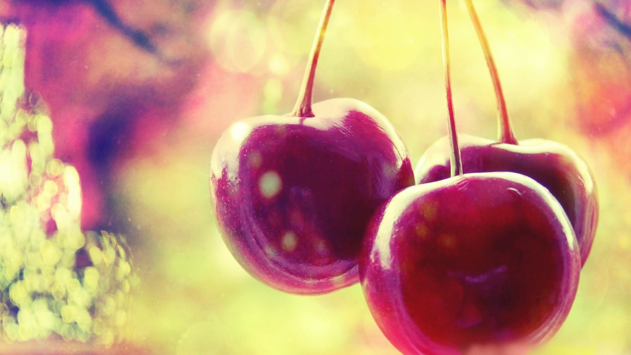  Three cherry Berry Cherry Red berry Wallpaper Background HD 2048x1152