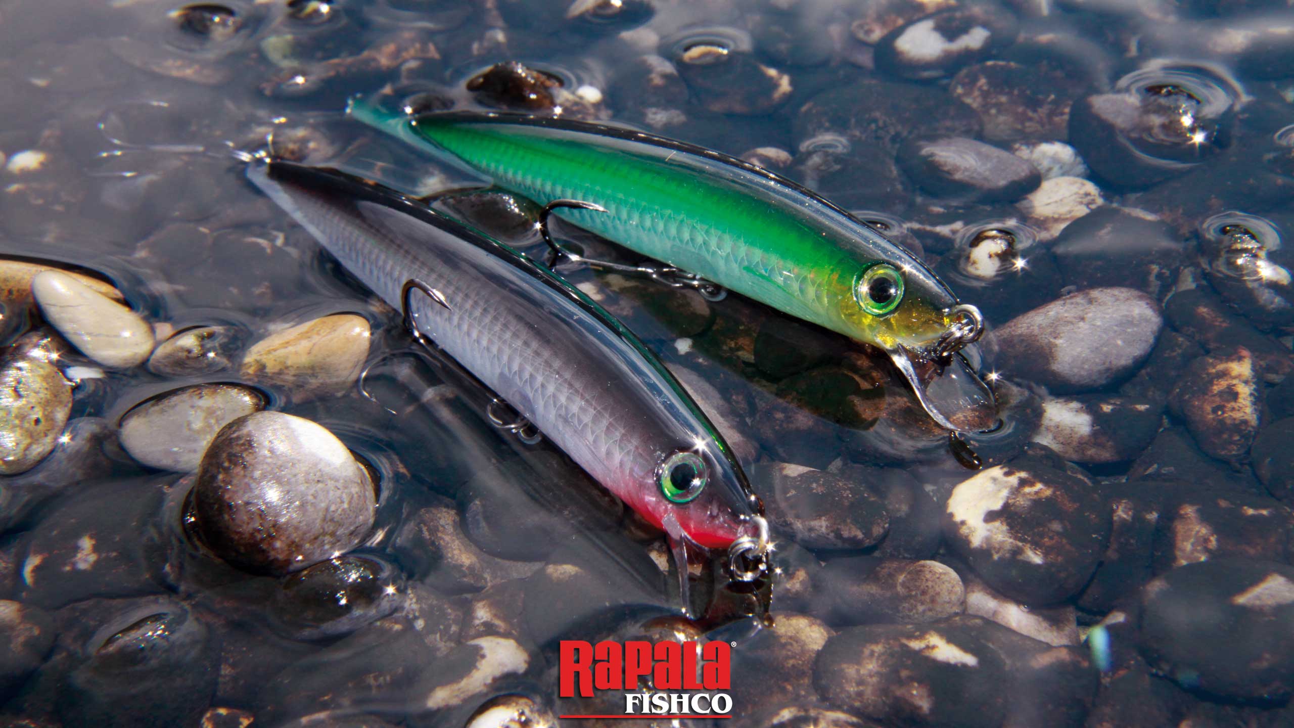 🔥 Download Rapala Logo Wallpaper Buys Dynamite Baits For by