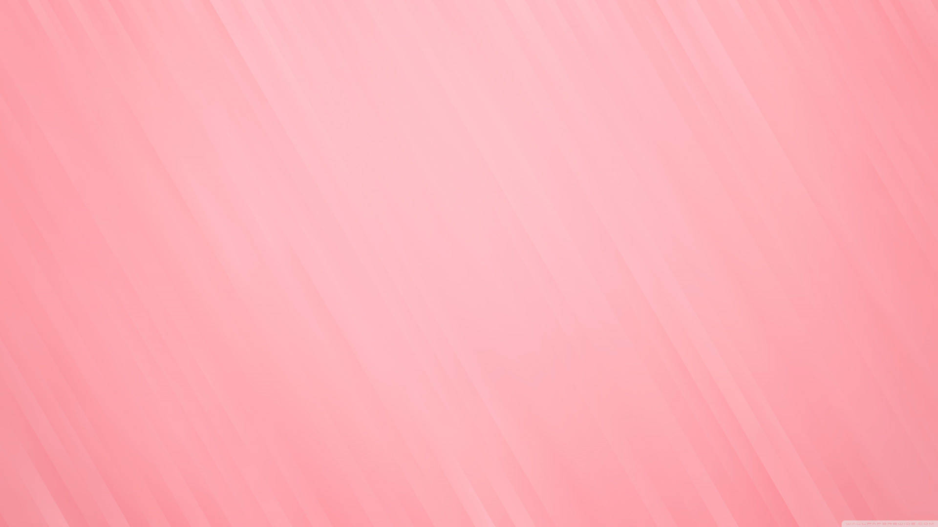 Pink And White Wallpaper