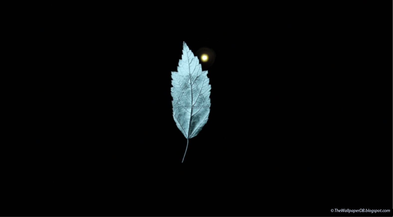 The Leaf from Fringe HD Wallpaper The Wallpaper Database