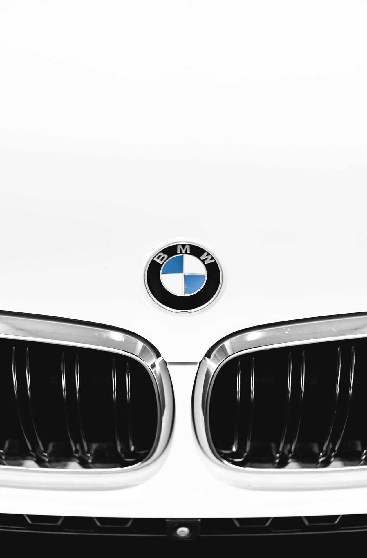 Bmw M Wallpaper