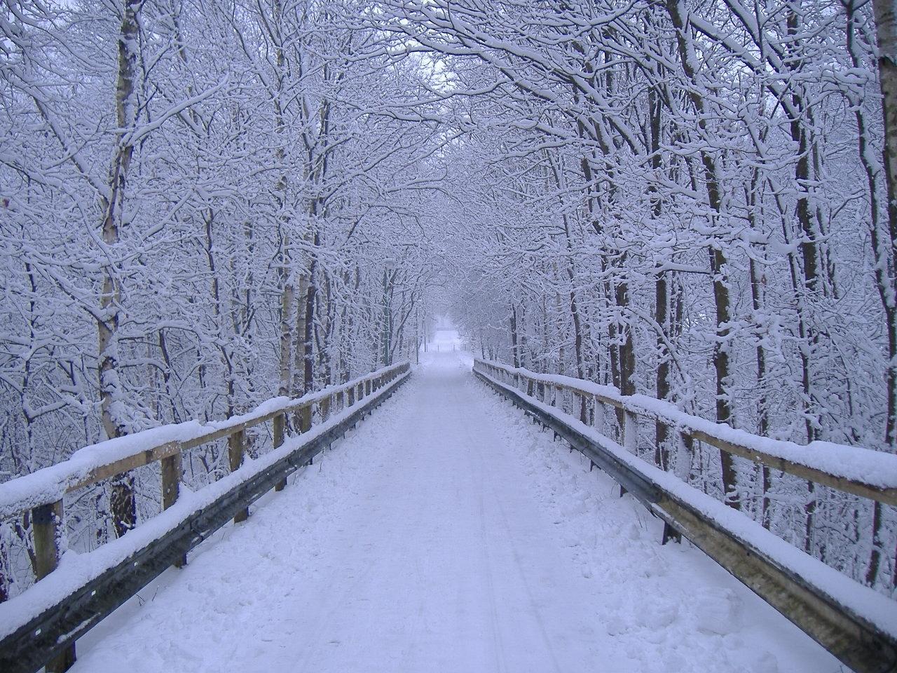 Winter Scenes Background On