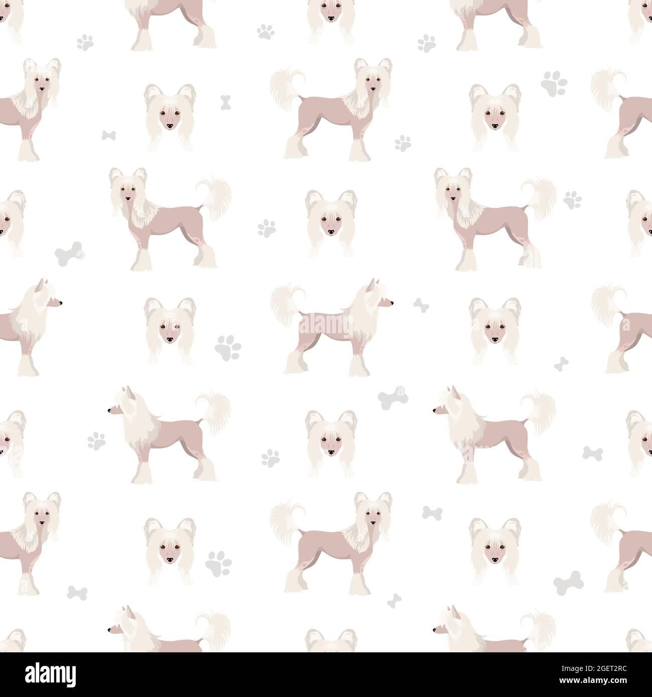Chinese crested dog hairless variety seamless pattern Different