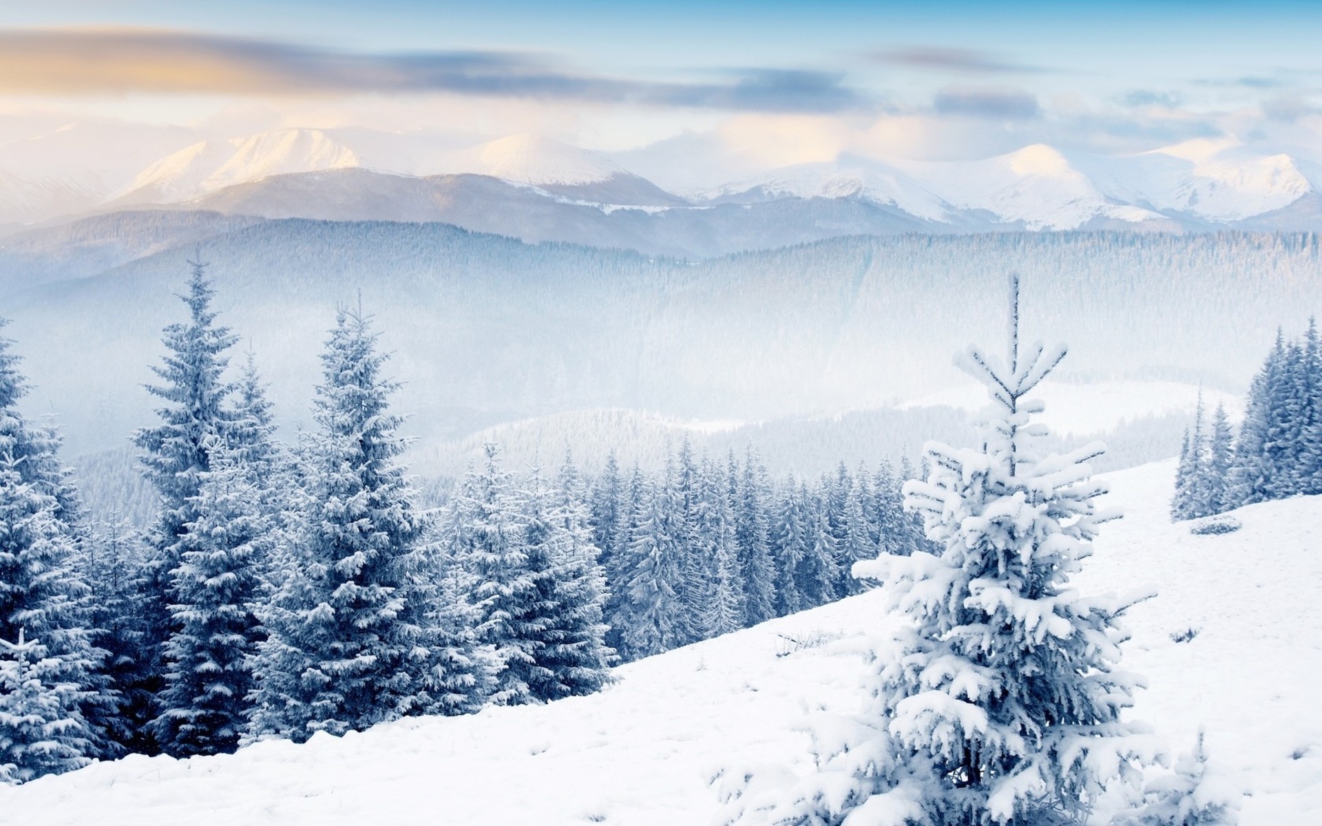 Wallpaper Snow Scenes
