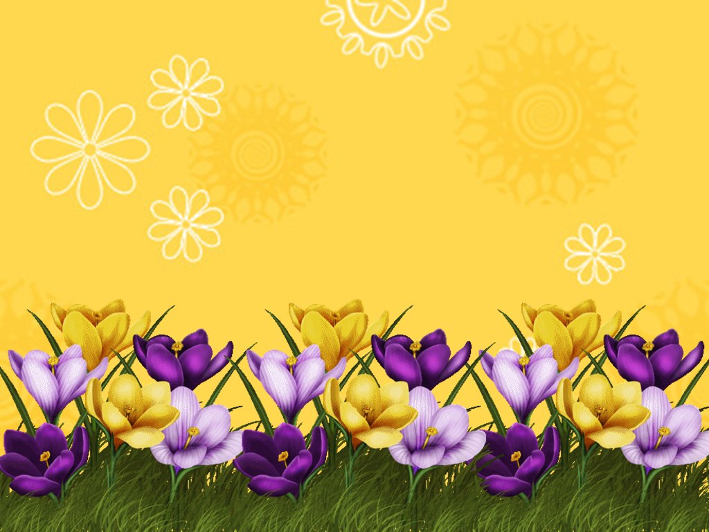 Flower Border Background Powerpoint Amp Templates