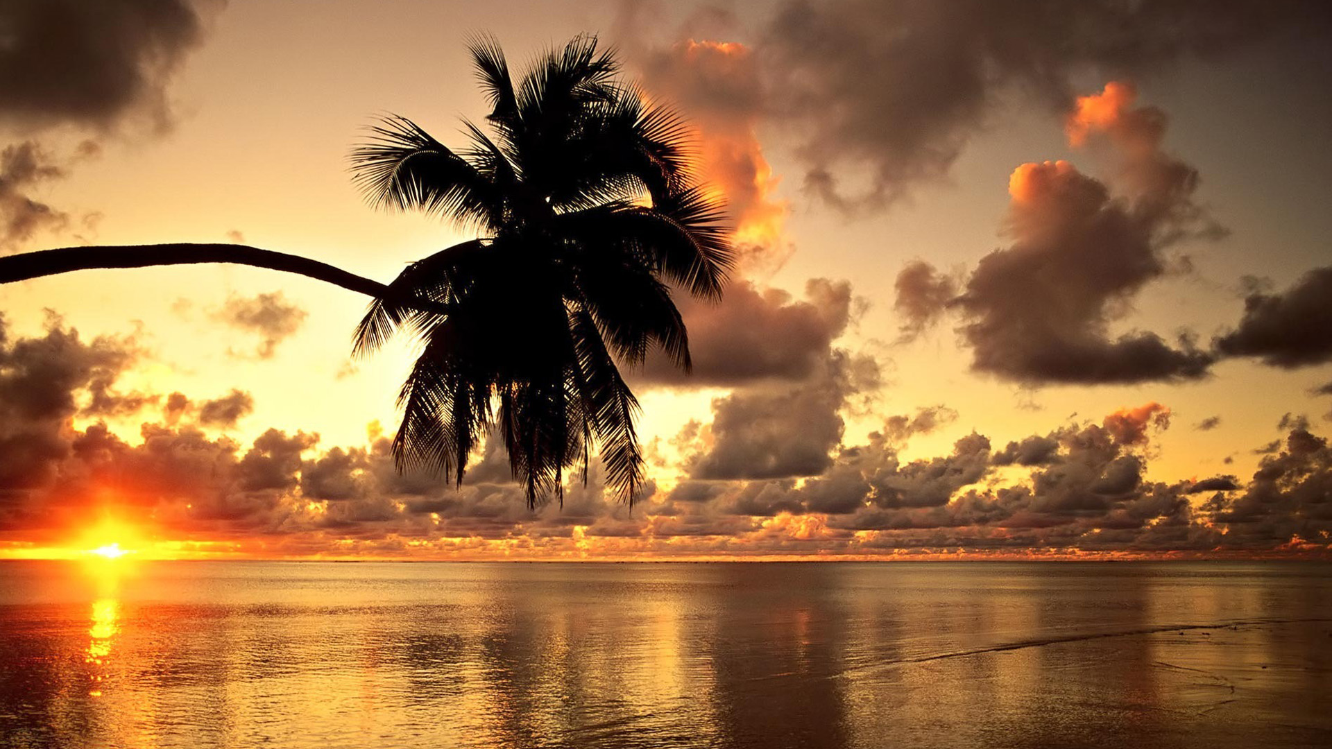 Tropical sunset beach beautiful scenery Wallpapers Beach Pictures and