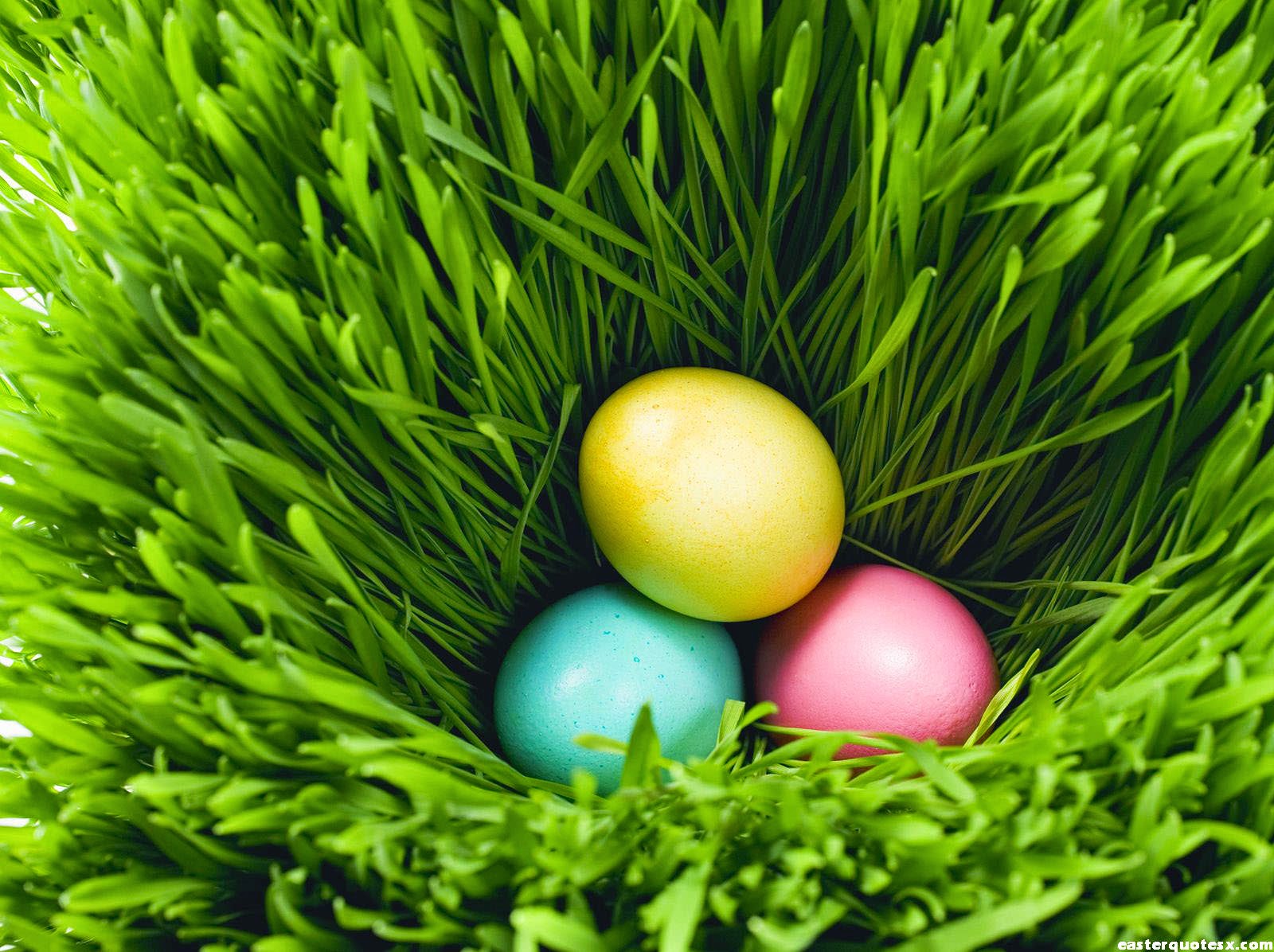 Top Easter Eggs Pictures HD Image