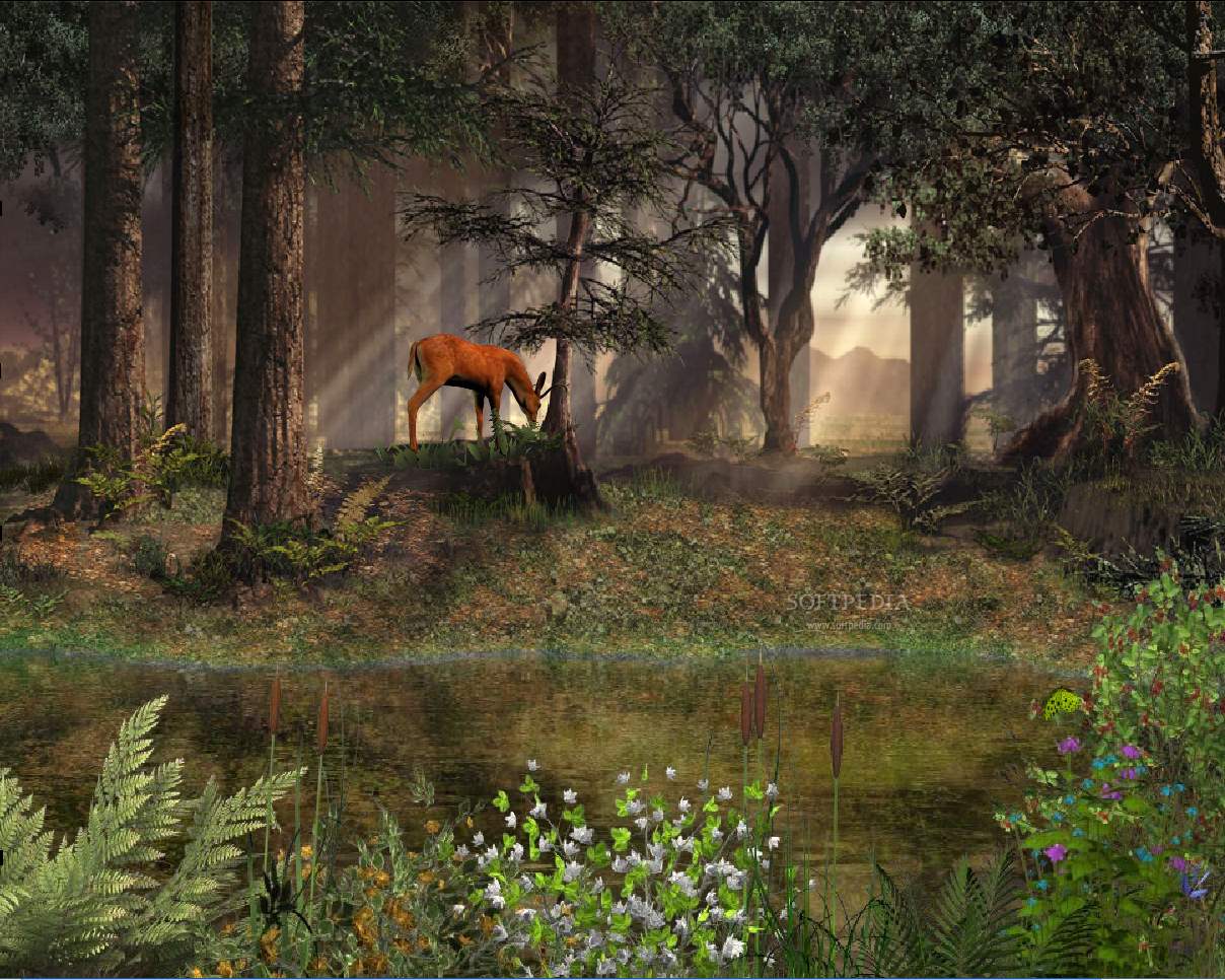 Deep In The Forest Animated Wallpaper This Is Image Displayed
