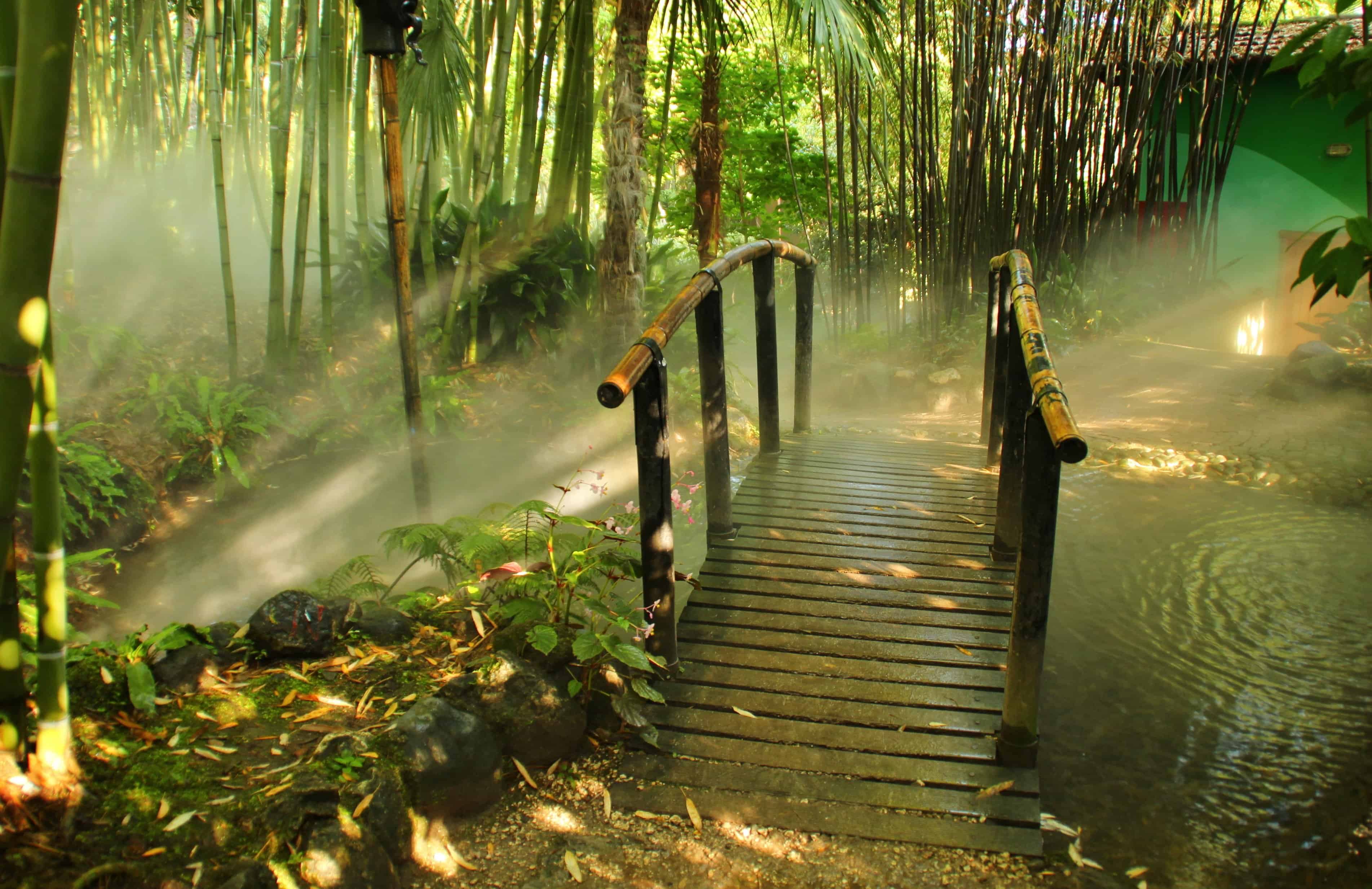 HD Bamboo Wallpaper