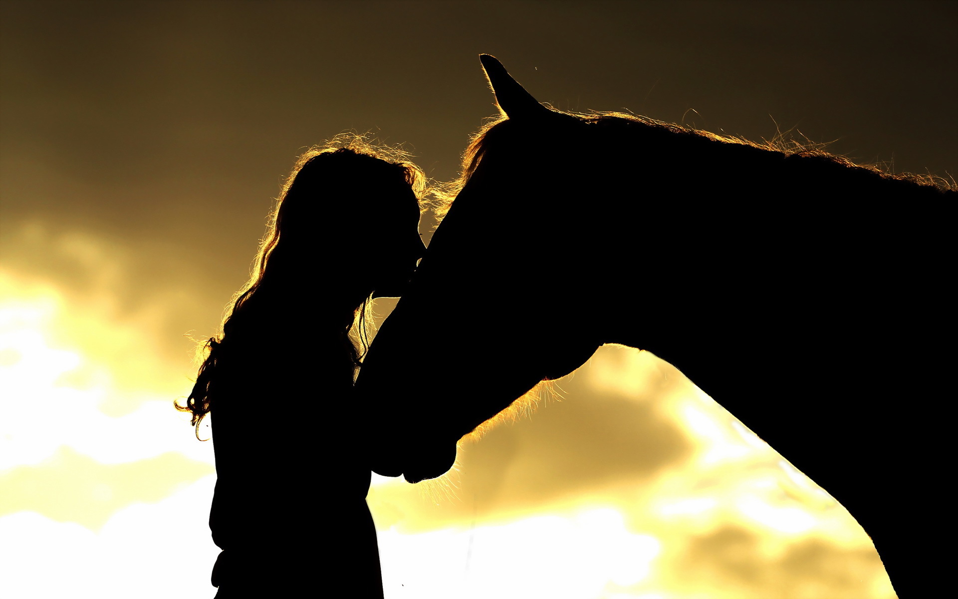 Wallpaper girl horse silhouettes wallpapers mood   download