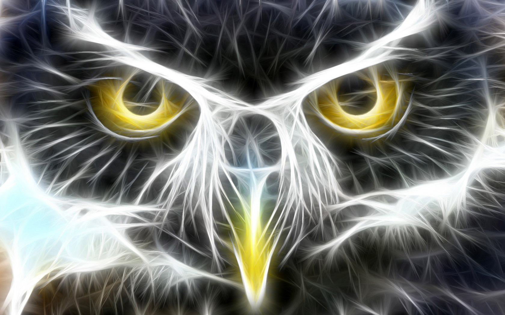Owl Desktop Wallpaper On Latoro