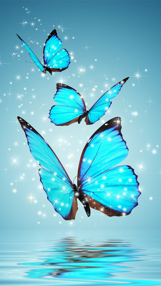 Blue Butterflies Wallpaper   Free iPhone Wallpapers