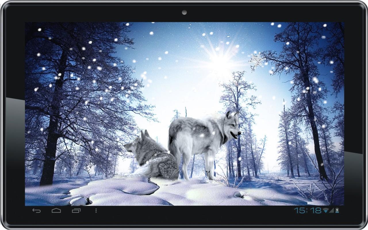 Snow Wolf HD Live Wallpaper Android Apps On Google Play