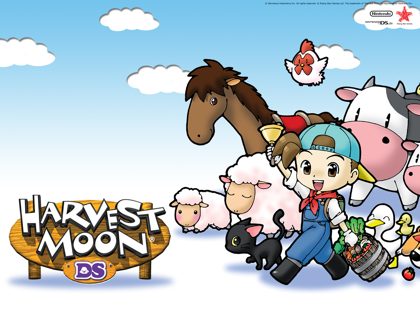Harvest Moon Ds
