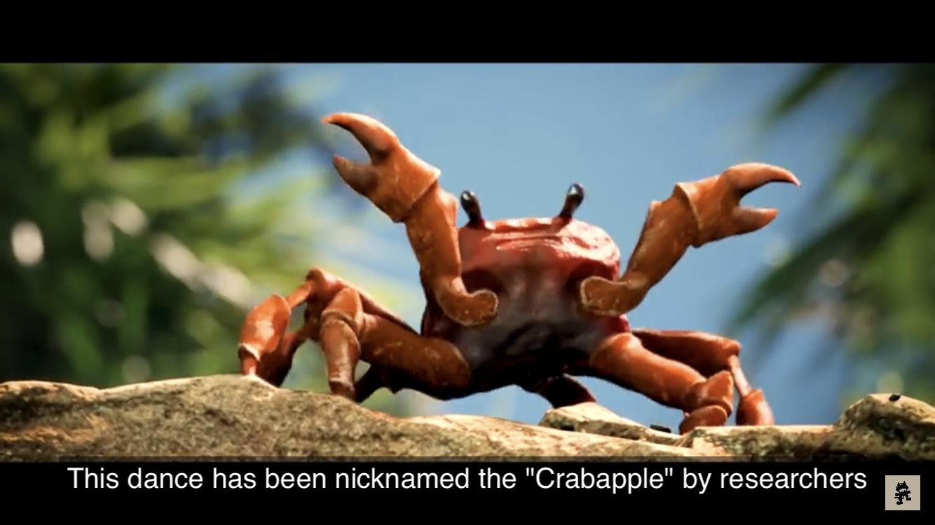 Alright Which One Of You Geniuses Wrote The Captions For Crab