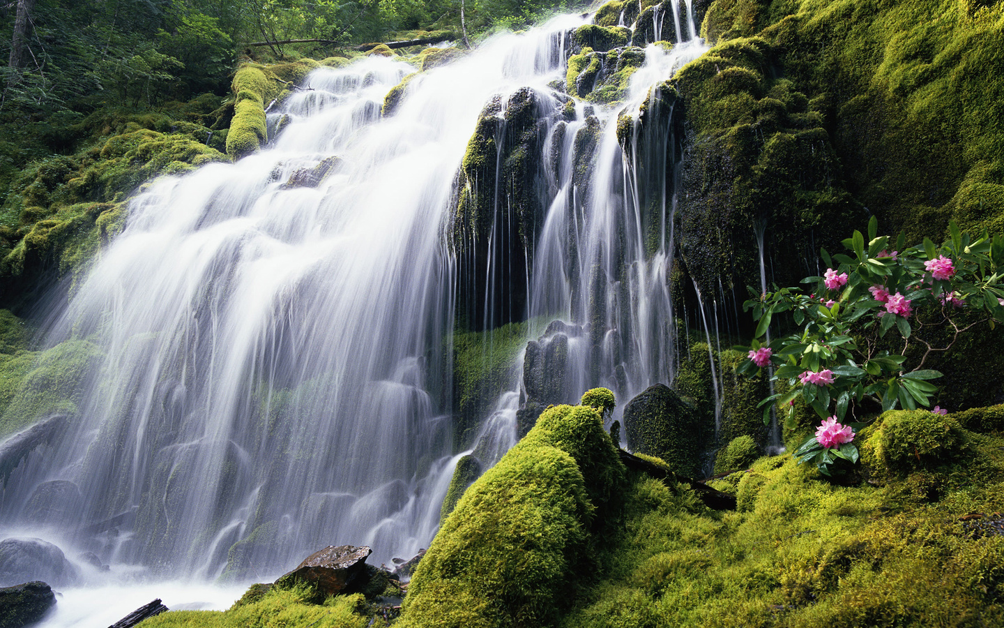 HD Waterfall In Summer Kostenlos Hintergrundbilder