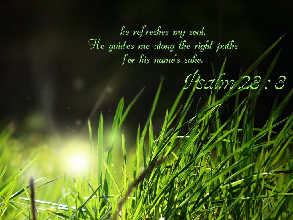 NEW! Psalm 23 | Read an Excerpt! - Lifeway Women