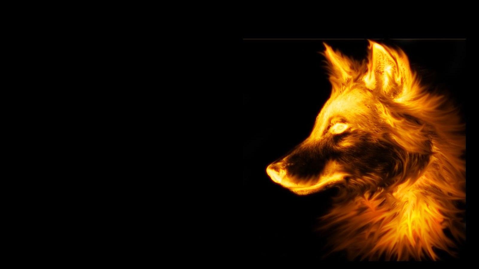 Wallpapers Backgrounds   Fire wallpaper wolf black background 1600x900