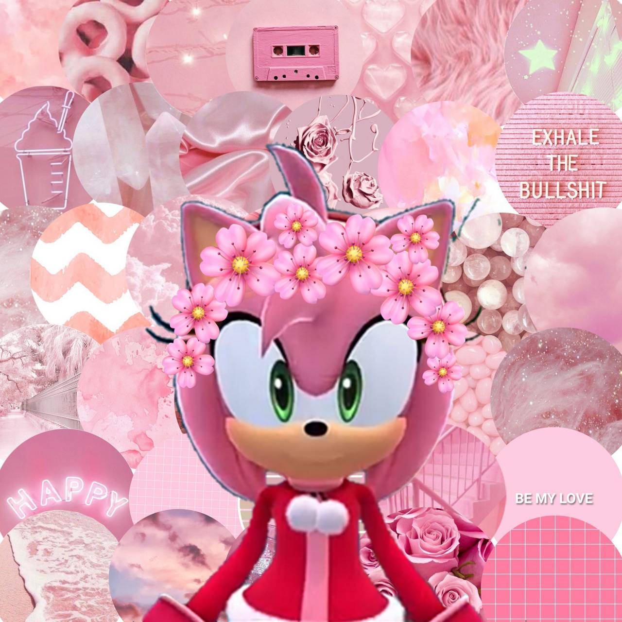 Amy Rose Wallpaper