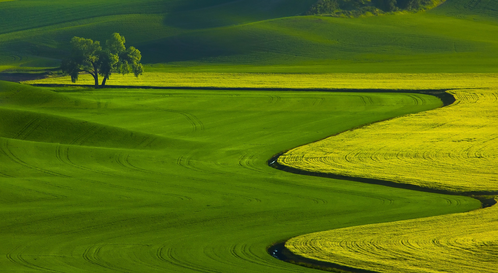 Blue Green And Yellow Wallpaper