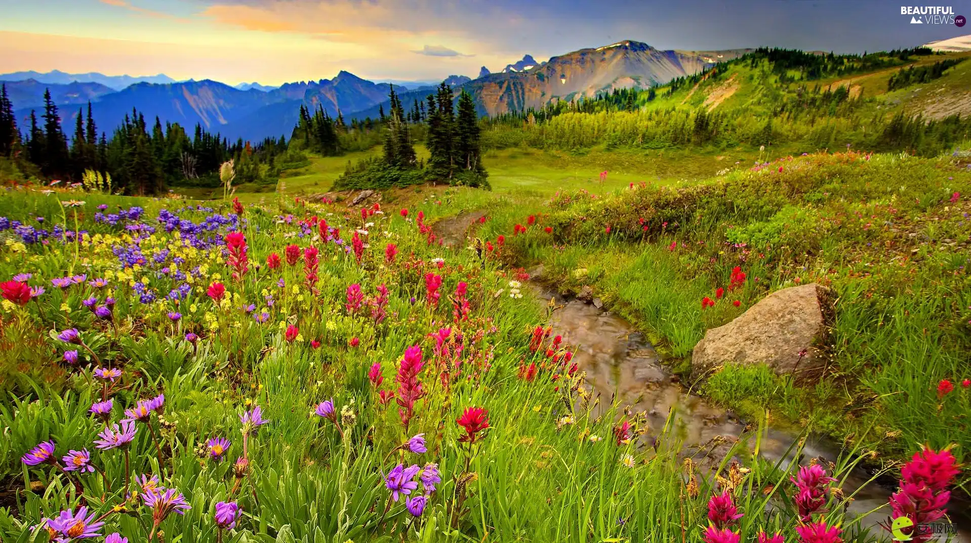 Mountains Stream Flowers Meadow Wallpaper