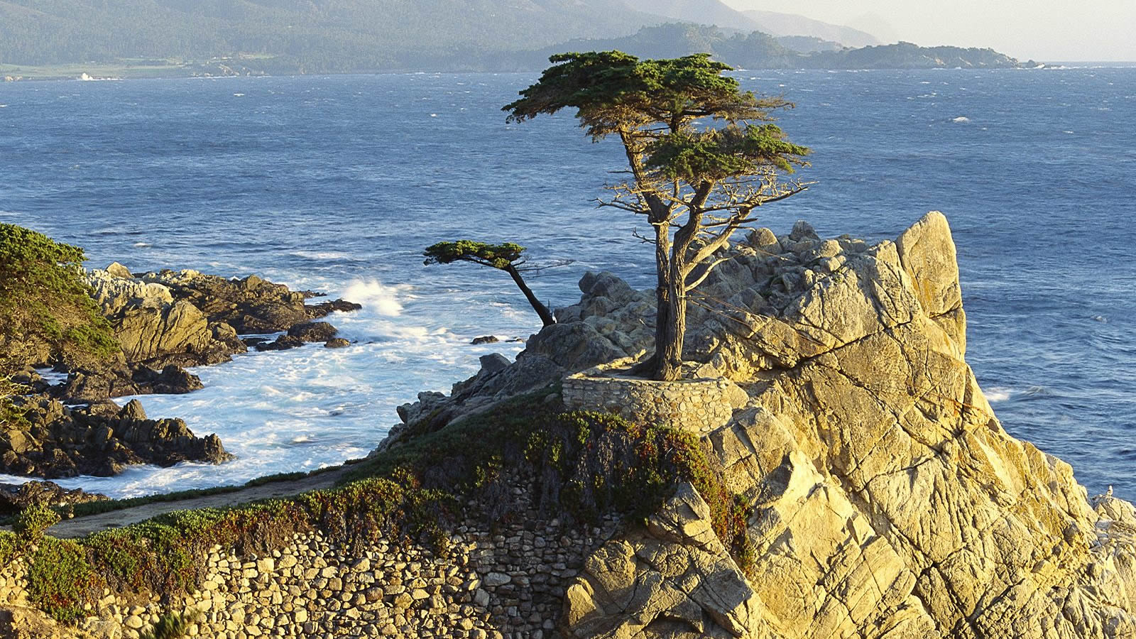 Widescreen Wallpaper Famous Lone Cypress A Gorgeous California Coast