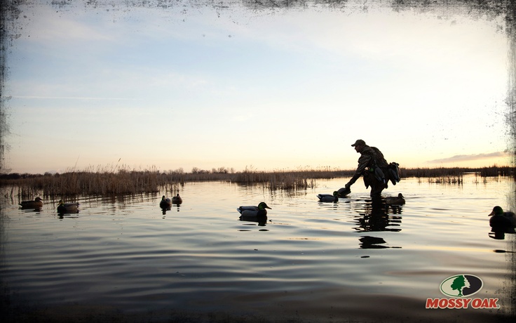 Duck Hunting Wallpaper