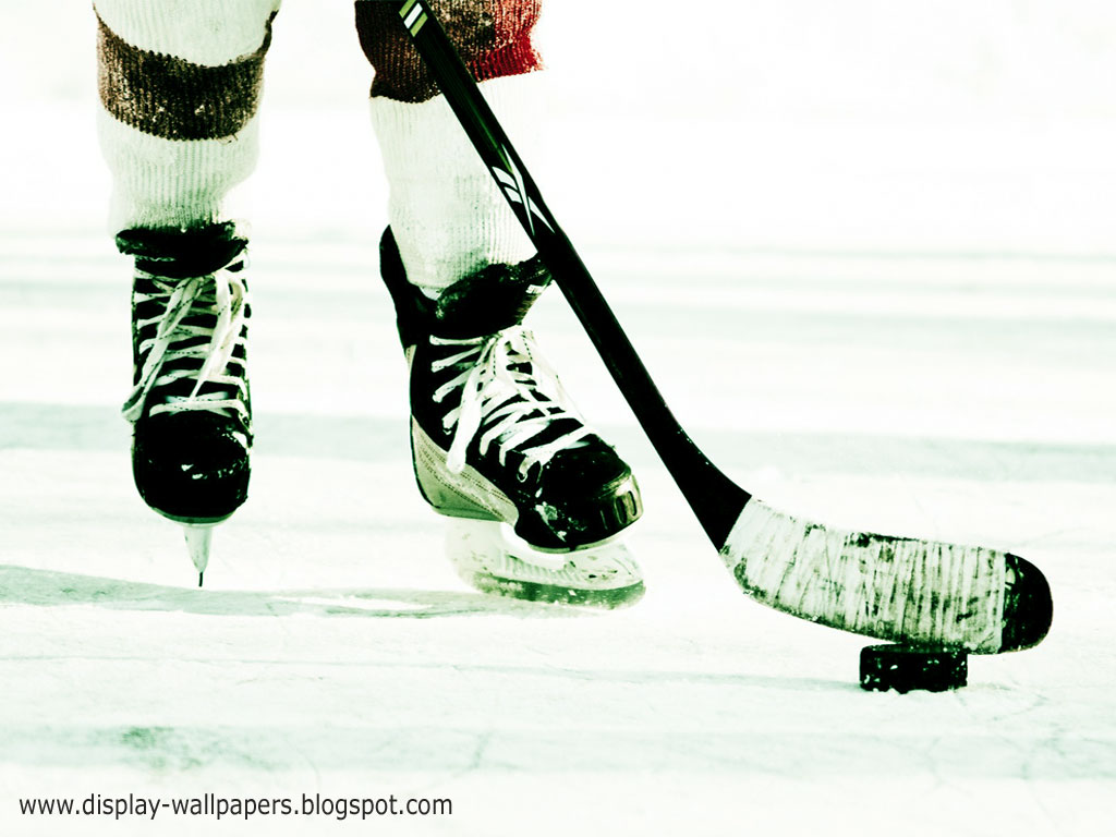 Download this Ice Hockey Wallpaper to your computer laptop mobile 1024x768