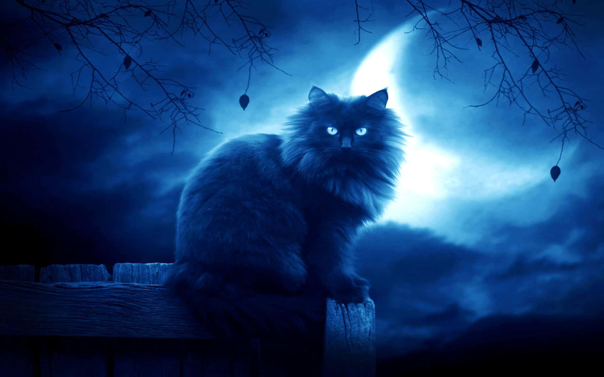 Gothic Aesthetic Wallpaper