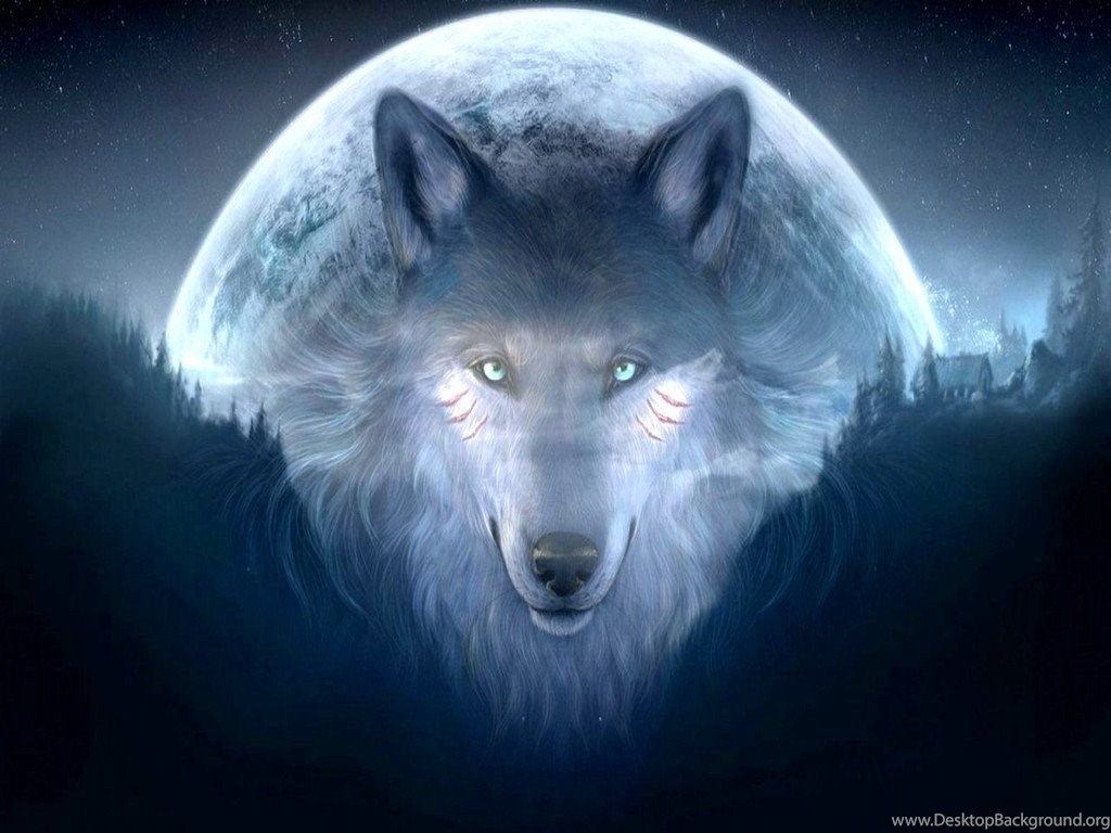 62 Images Of Wolf Wallpapers On Wallpapersafari
