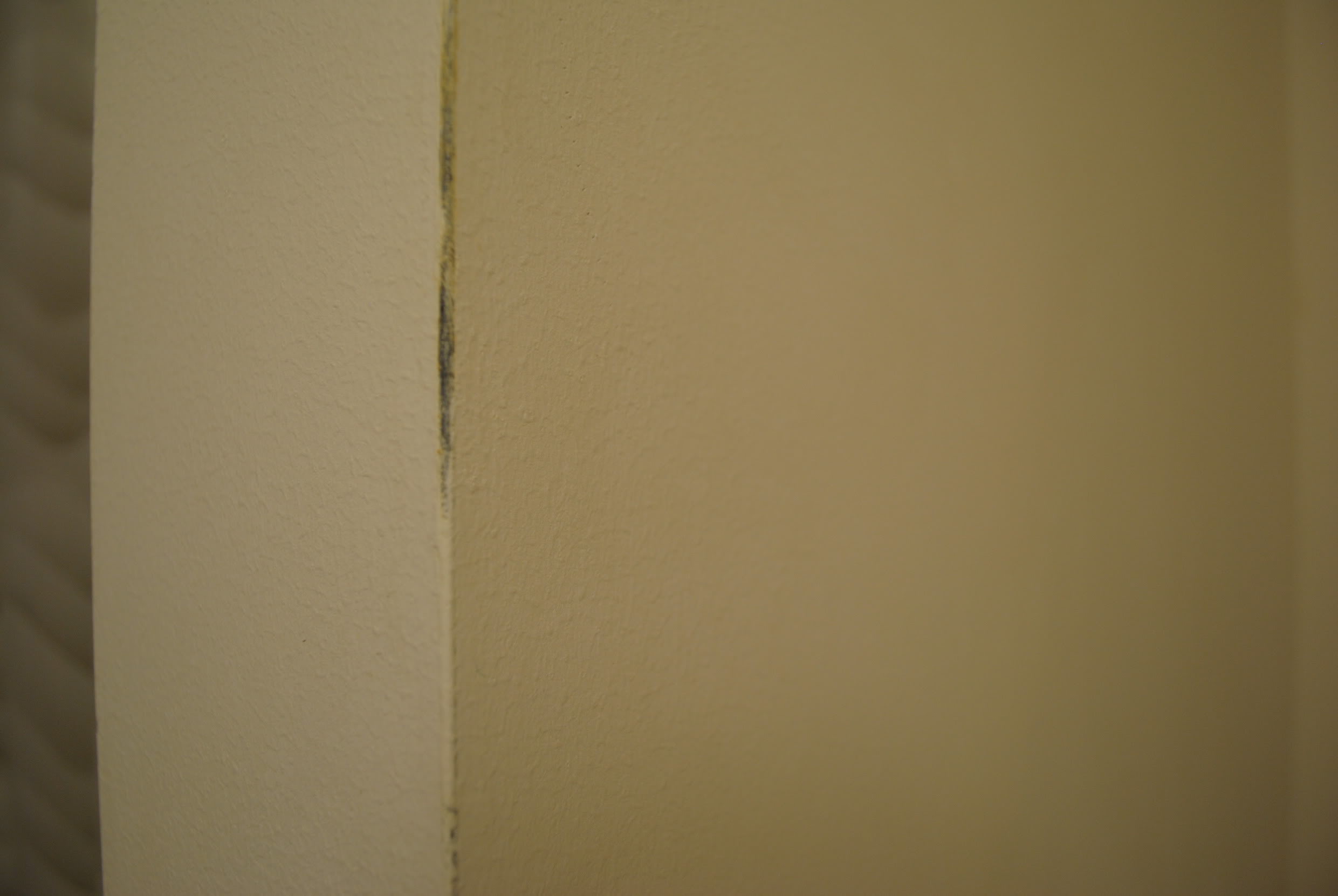 Free download priming over wallpaper backing and glue General Drywall