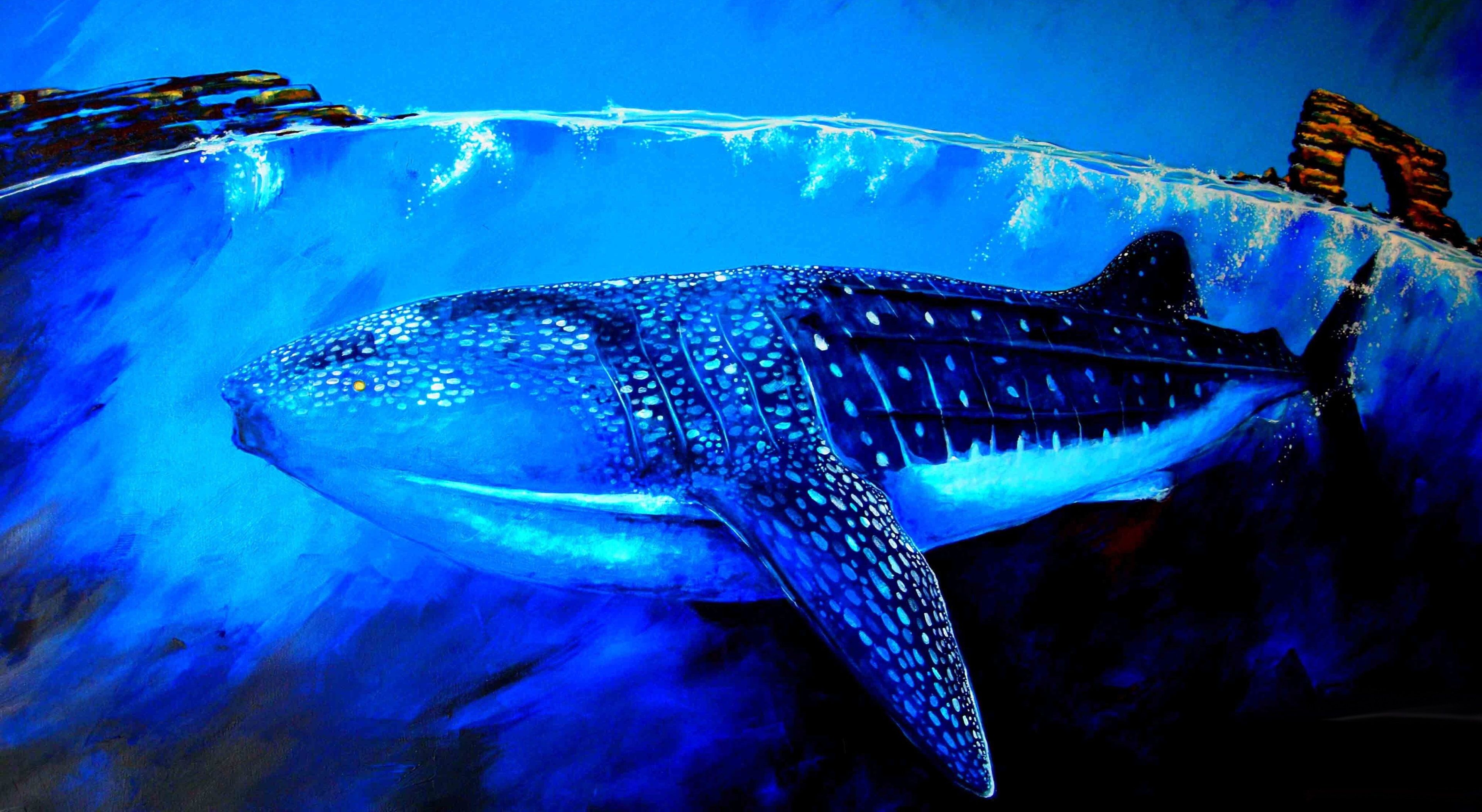Whale Shark 4k Wallpaper HD High Resolution