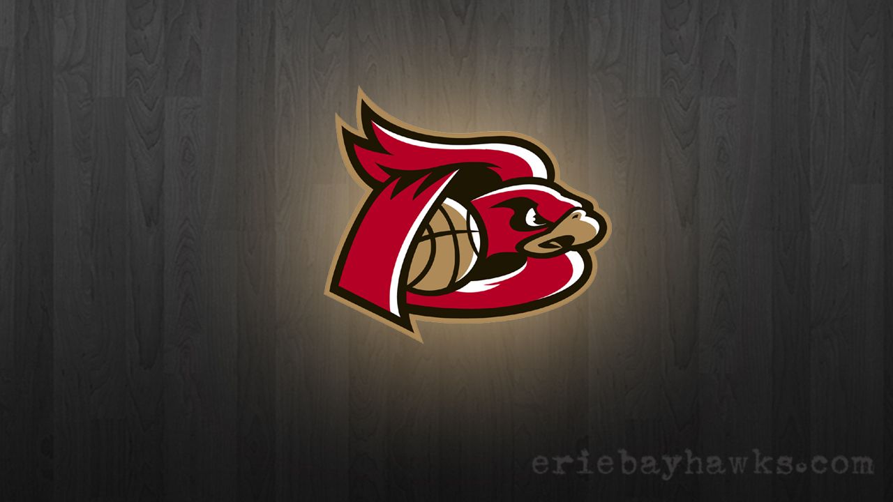 Erie Bayhawks Wallpaper Google Search Sports Teams