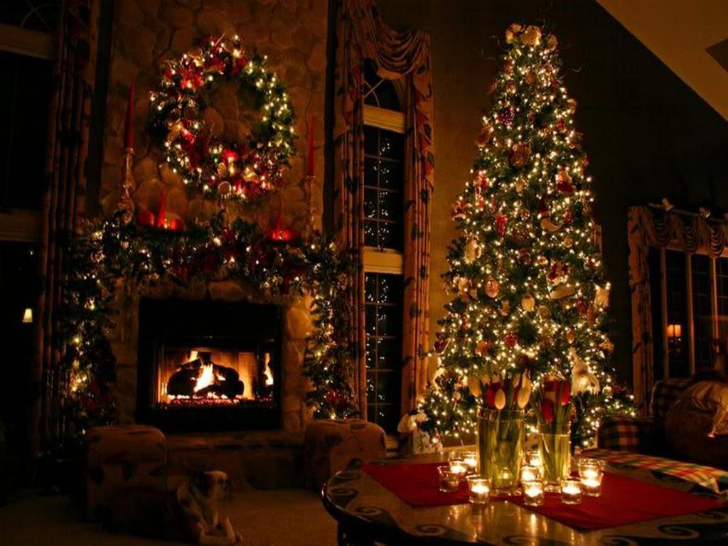 Christmas Trees Beautiful Tree Wallpaper
