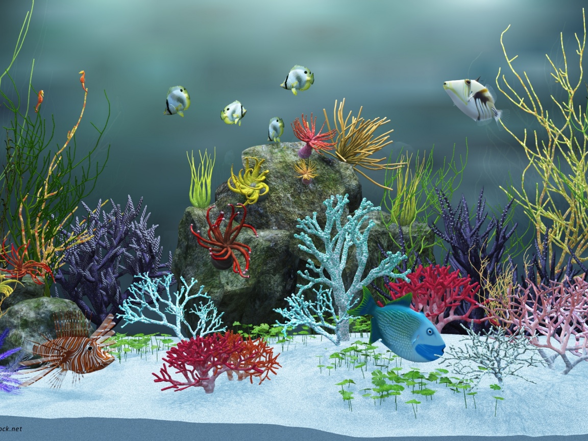 Aquarium Live Wallpaper For Pc Sfondi Animati