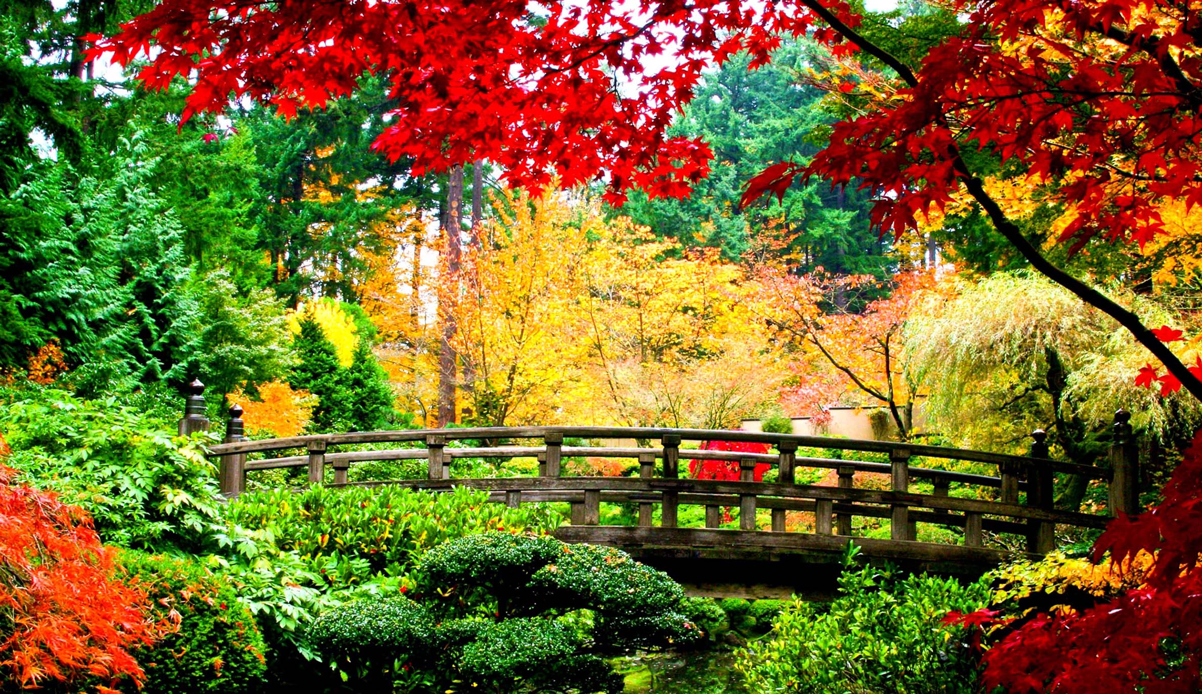 Beautiful Nature Japan Image Reverse Search