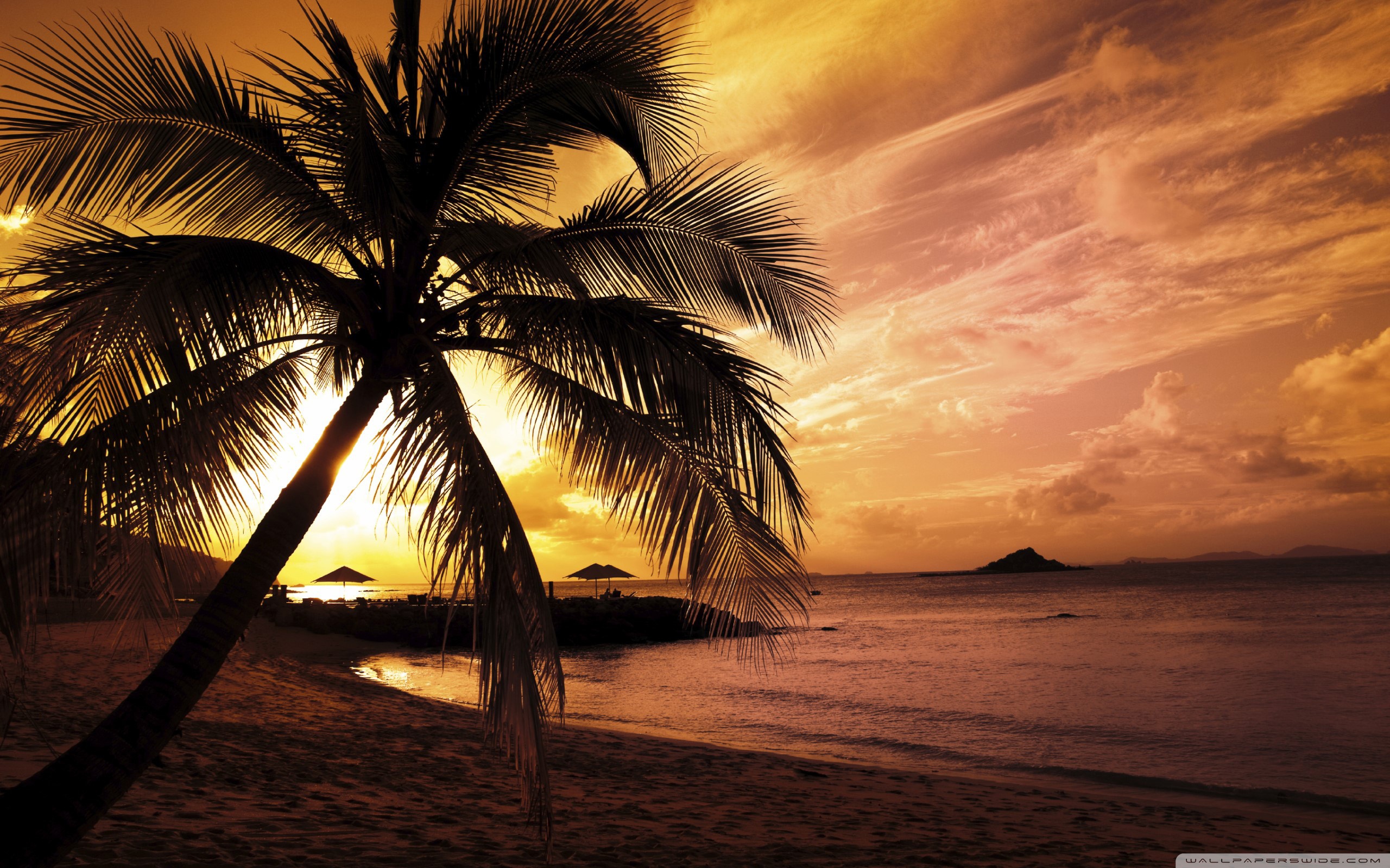 Tropical Beach Sunset HD Wallpaper