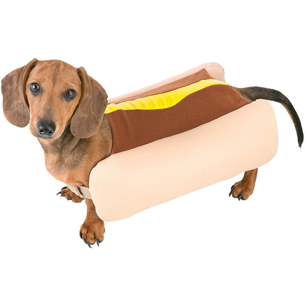 Hot Dog Pet Costumes Halloween